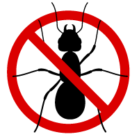 ant-pest-control-murrieta-temecula-california-riverside-county