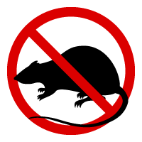 ant-pest-control-murrieta-temecula-california-riverside-county