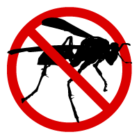 ant-pest-control-murrieta-temecula-california-riverside-county
